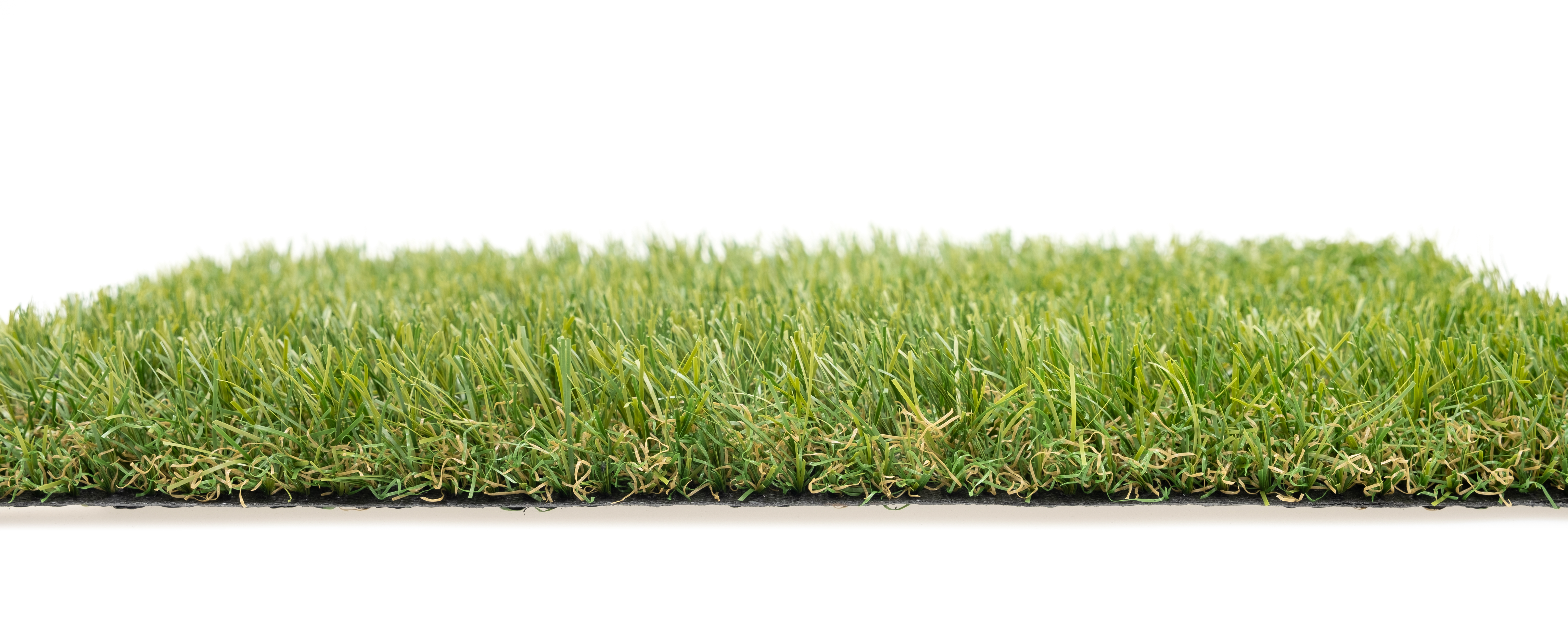 Economy series ER2810